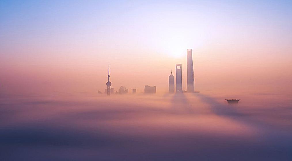 上海市行业协会商会规范收费行为自律承诺书