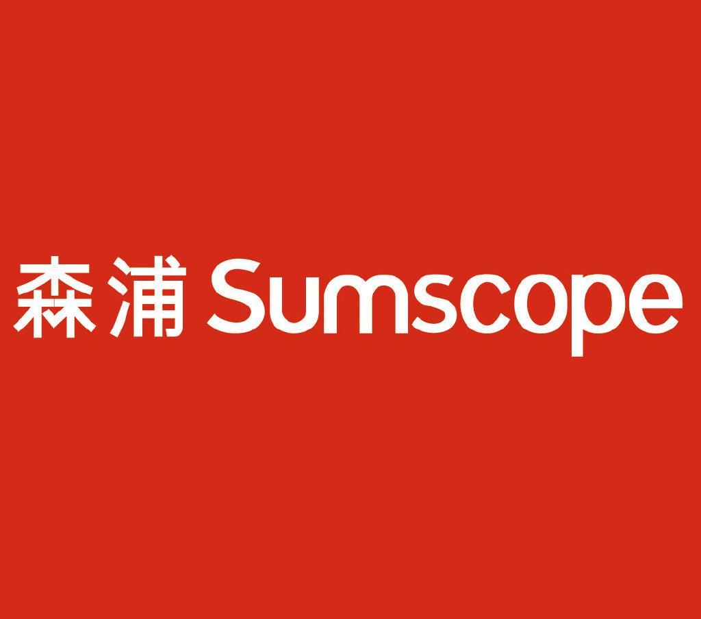 王 枫